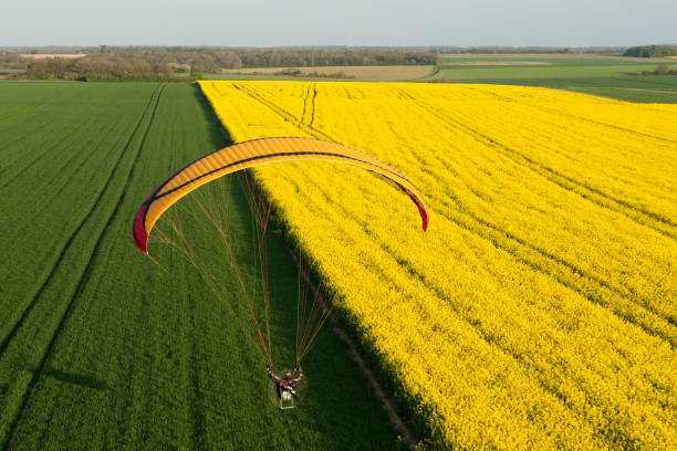 istock Aerial view of a paramotor flying over a rapeseed field in spring. 1312664531