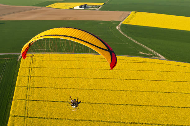 istock paramotor seen from the sky over the french colza fields with spring sun. 1312665433