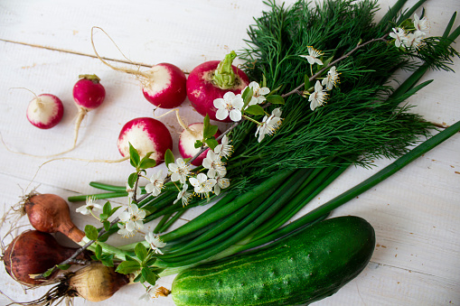 Homegrown vegetables. Fresh organic vegetables. Vegetables from garden. Colorful vegetable . Healthy vegetable.