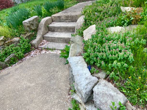 istock Out of Control Weeds Damaged Steps and Entrance 1312667727