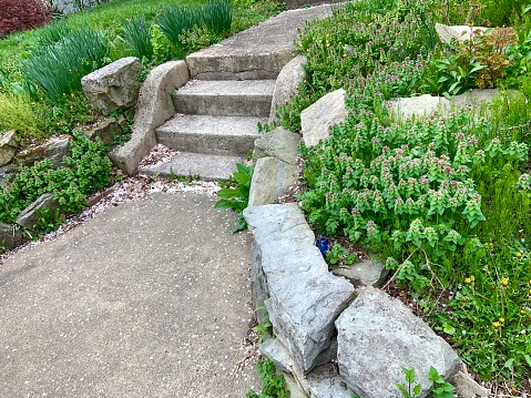 Damaged and overgrown entrance