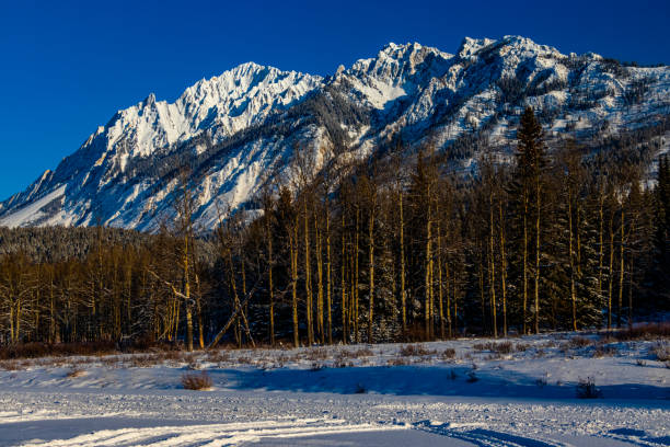 istock Sawback Range against a brilliant blue sky. Banff National Park, Alberta, Canada 1312669027