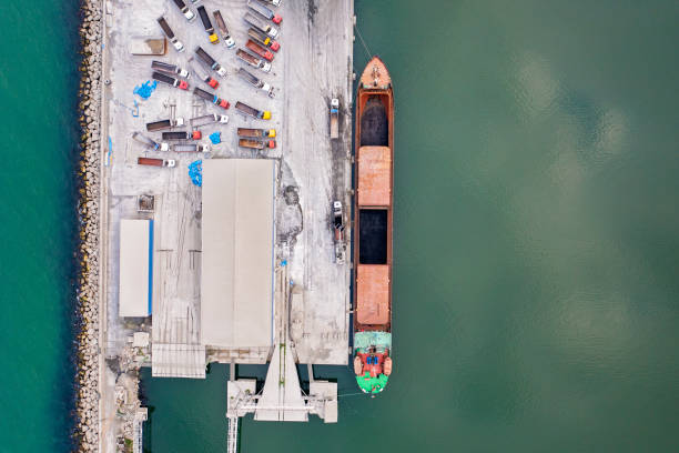 istock Cargo ship unloading of coal in a commercial port. 1312671840