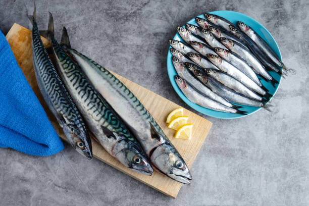 istock Fresh fish on blue plate on marble background. Copy space. Fresh fish concept. 1312672836