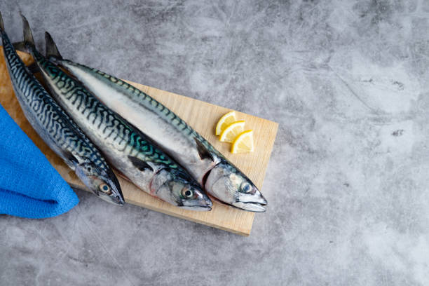istock Mackerel on wooden background on marble background. Copy space. Fresh fish concept. 1312672844