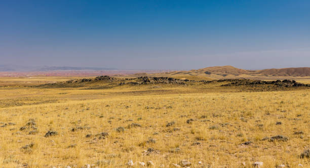 istock Landscape along a dirt road that runs around Copper Mountain 1312673096