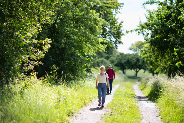 istock Seniors hiking on rural  dirt road 1312674013