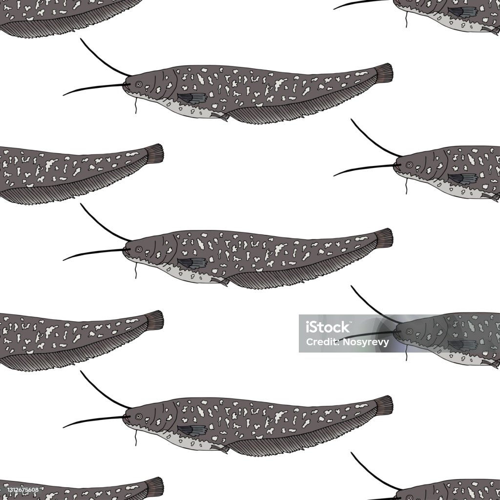 Catfish Pattern Seamless Pattern Of Catfish Hand Drawn Can Be Used For Packaging Menu ...