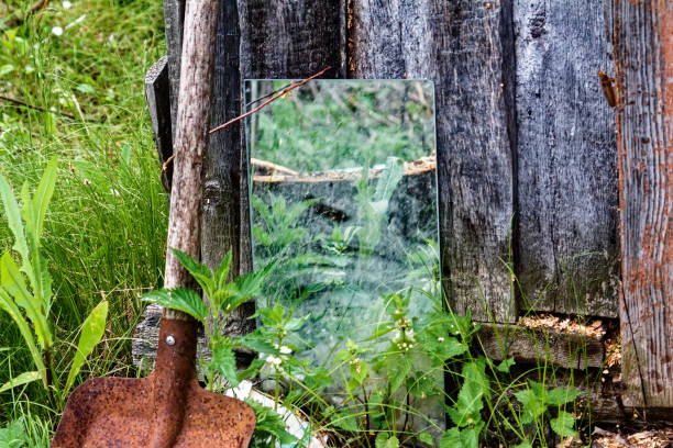 mirror stands near the barn in the garden