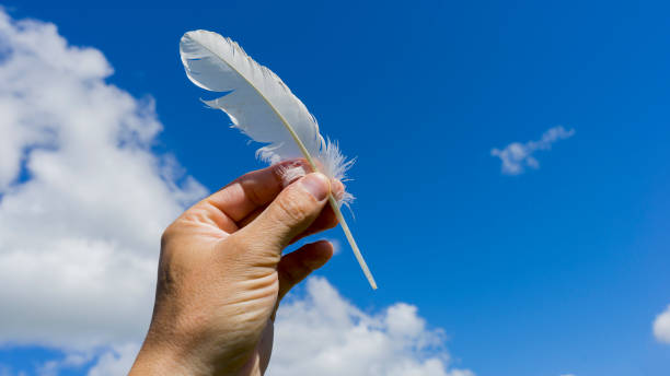 istock a bird feather in a man's hand against a blue sky with white clouds shot close up on a bright sunny day 1312677757