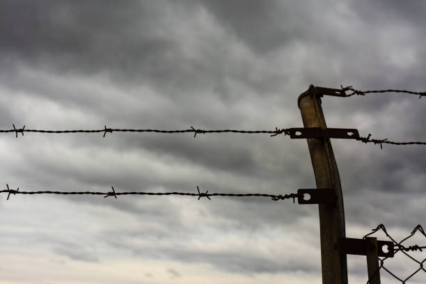 istock Barbed wire and fence 1312677883