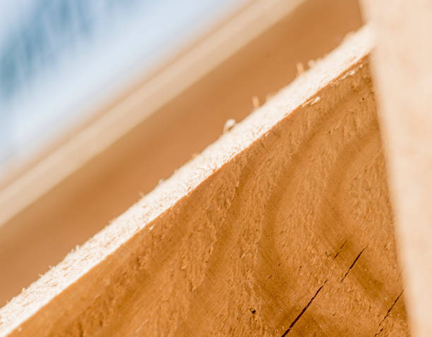 istock a fragment of a yellow pine timber close-up 1312679067