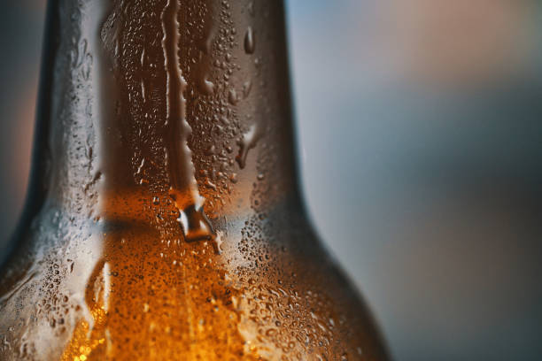 Fresh Bottle of Beer