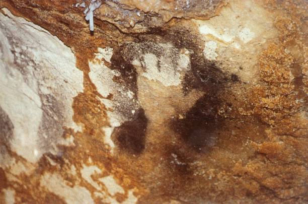 istock Human handprint in the Cosquer Grotto, France 1312686833