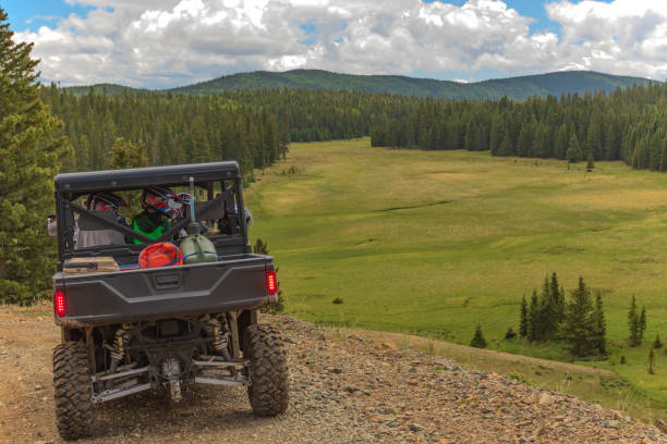istock Driving in the mountains with family 1312688069