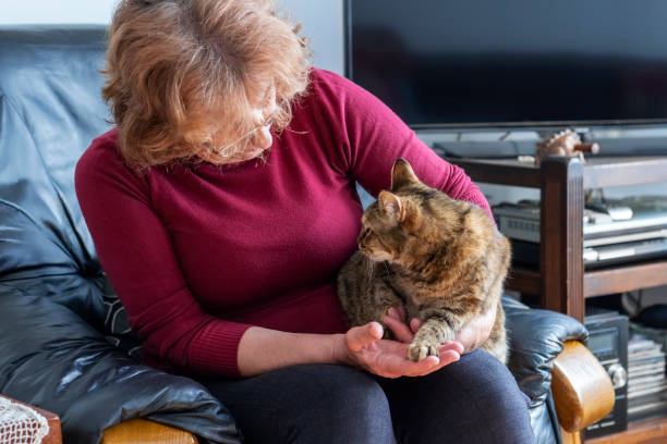 istock Senior woman with cat 1312689922
