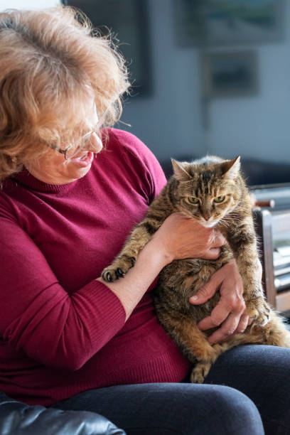 istock Senior woman with cat 1312689998