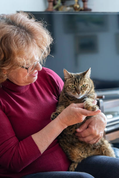 istock Senior woman with cat 1312690042