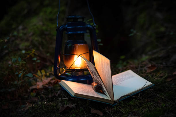 istock A magic kerosene lamp  and the book in the dark forest 1312690335