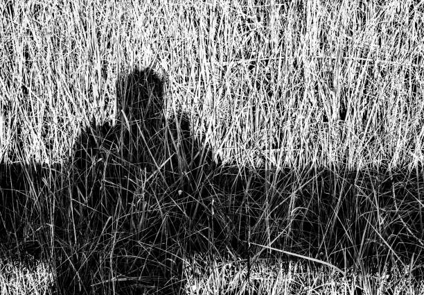 Shadow of person