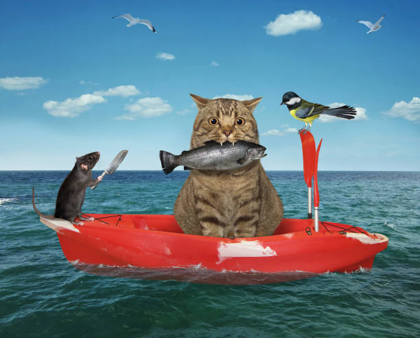 istock Cat caught trout from boat 1312692265