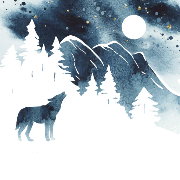 Watercolor vector landscape in blue and white colors. Sketch of a mountains, forest and wolf under night sky. Watercolor vector landscape in blue and white colors. Sketch of a mountains, forest and wolf under night sky. Silhouette of wolf howling at the full moon.  Watercolor design for card, poster, banner wolf illustrations stock illustrations