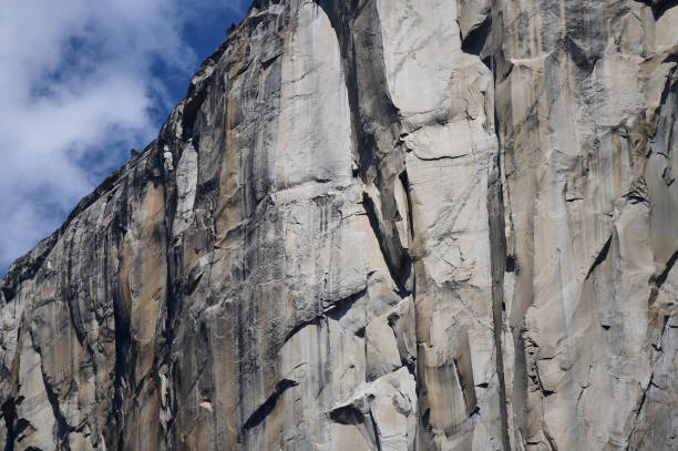 istock Yosemite National Park 1312697735