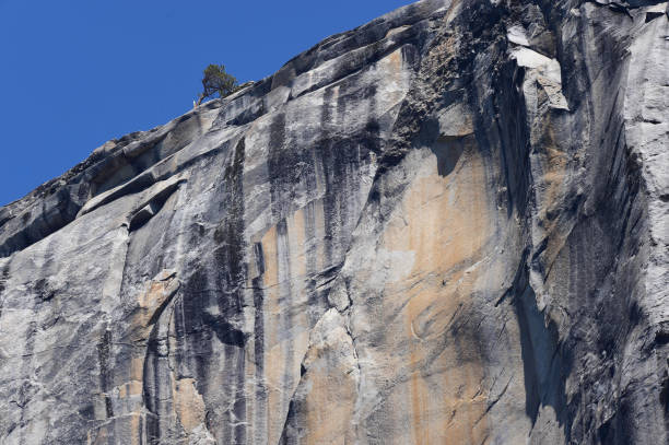 istock Yosemite National Park 1312697752