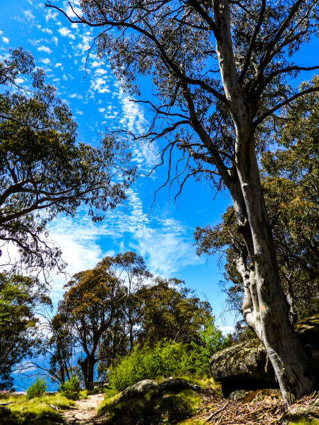 istock Porepunkah, Victoria, Australia 1312701820