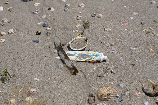 Used Tooothpaste tube discarded on shells beach ecosystem,sea coast pollution contamination.