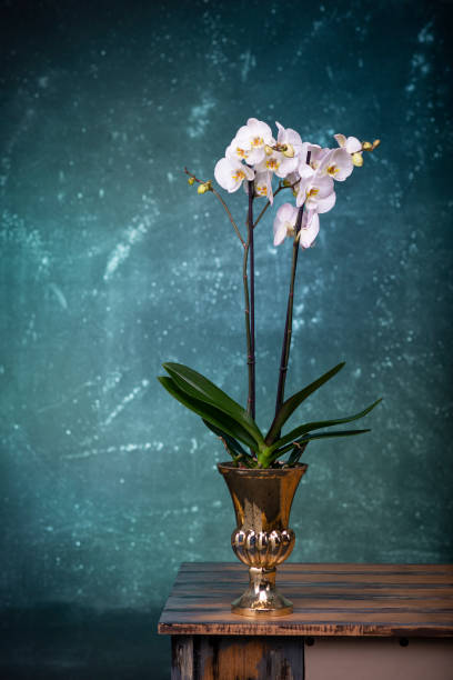 istock studio shoot, wonderful flower bouquet. 1312703297