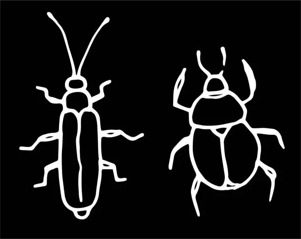 Vector illustration of Vector set of isolated beetle elements drawn by hand in a doodle style. funny thick and long and narrow beatles with long mustache white outline on black background for design template