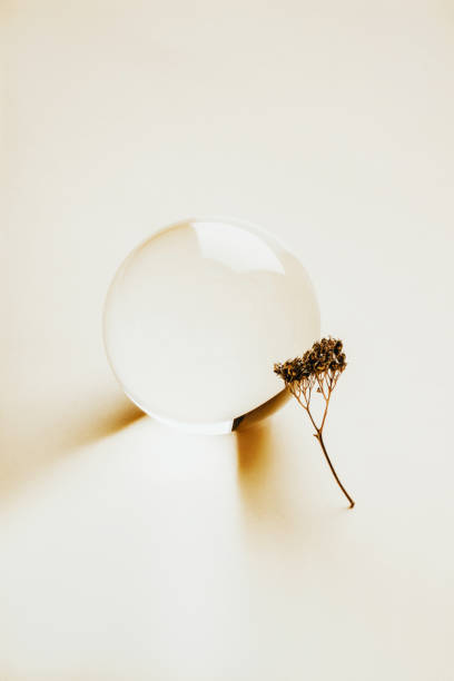 Universal concept with glass crystal ball with tender dry wood. Neat abstract background for text adding