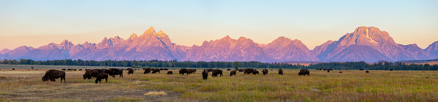 Grand Teton National Park, Wyoming in Colter Bay Village, WY, United States