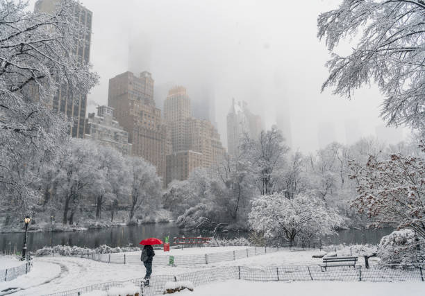 istock Unrecognizable person walking in snowy park in downtown 1312708800
