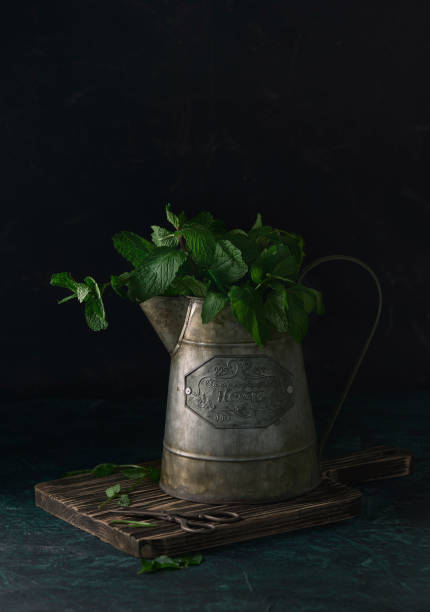 istock jug with peppermint ready to be harvested 1312709293