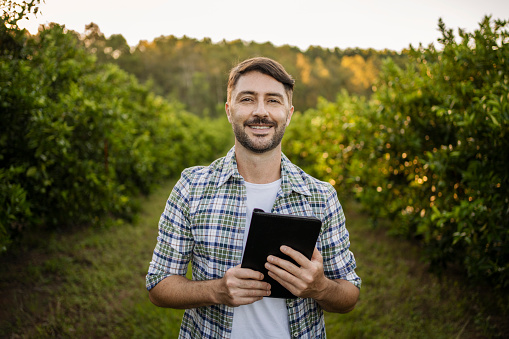 Agricultural technician working on orange plantation field with digital tablet in a sunny day.