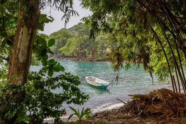 Photo of Boat in avocado bay. Capurgana, Choco, Colombia.