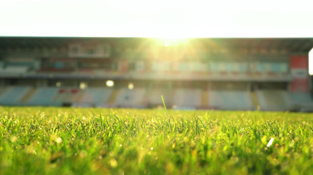 istock Football field 1312718000