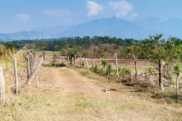 istock Rural landscape in Lempira region 1312718946