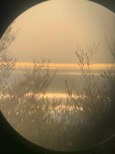 istock Scenery in the lens 1312719644