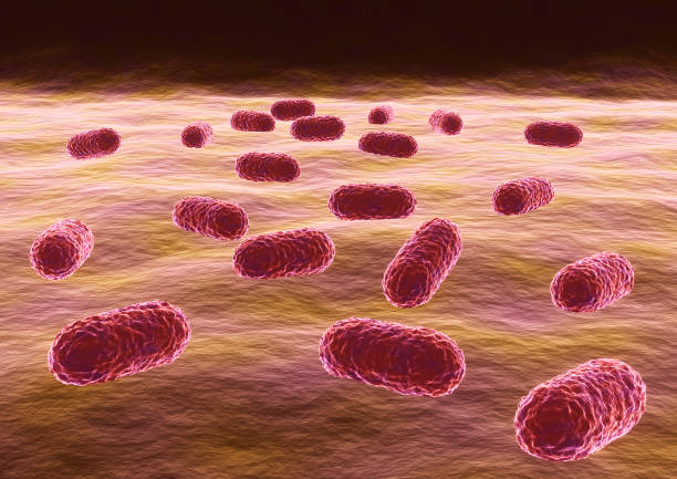 Bacterium Acinetobacter baumannii, bacteria resistant to antibiotics. 3d illustration