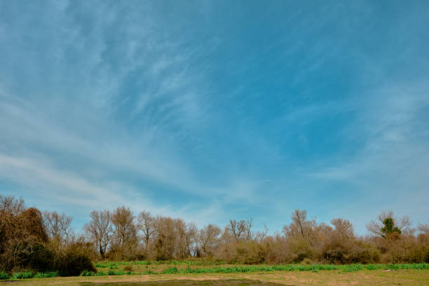 nature in floodplain in karacabey turkey. - grass church flood landscape imagens e fotografias de stock