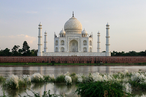 Taj Mahal at dusk from across the river with flowers and plants, in Agra, India