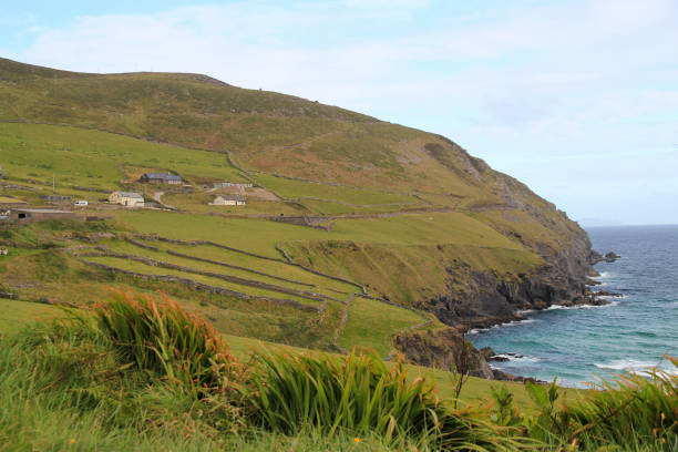 istock Fields and cliffs of rural Ireland along coast against blue sky with ocean 1312725427