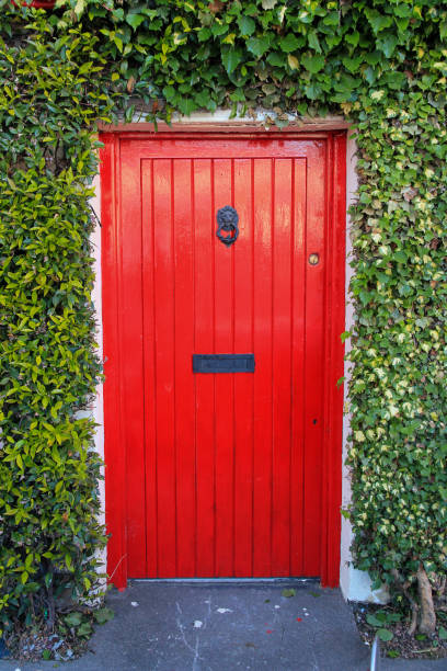 istock Bright Red Door Surrounded by Green Ivy 1312725441