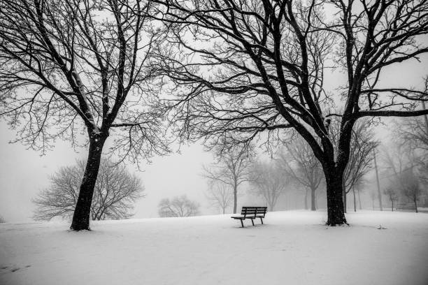 Single Bench in Snowy Humboldt Park, Milwaukee Wisconsin