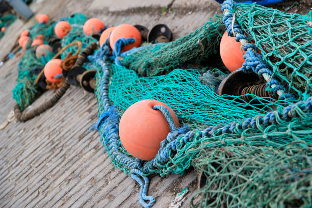 istock Colorful Fishing Nets in Harbor 1312725835