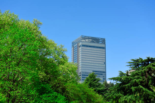 istock Modern corporate building with lush foliage tree in springtime 1312729554