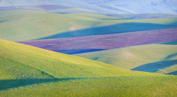 istock Green hills and arable land. Spring rural landscape. 1312732317